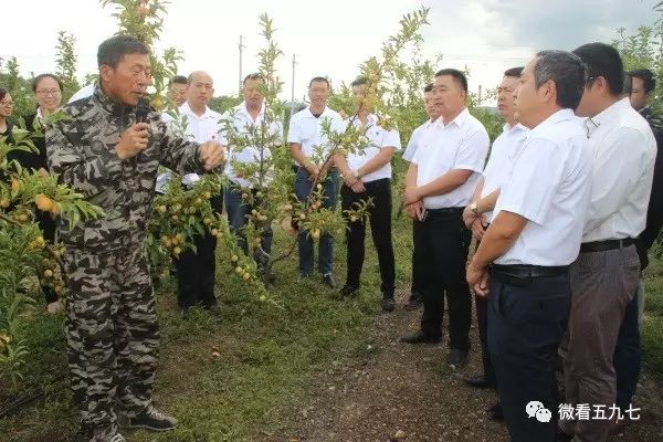 水果增加富硒元素的肥料