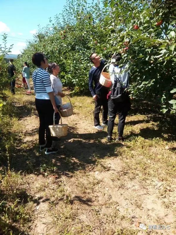 水果增加富硒元素的肥料