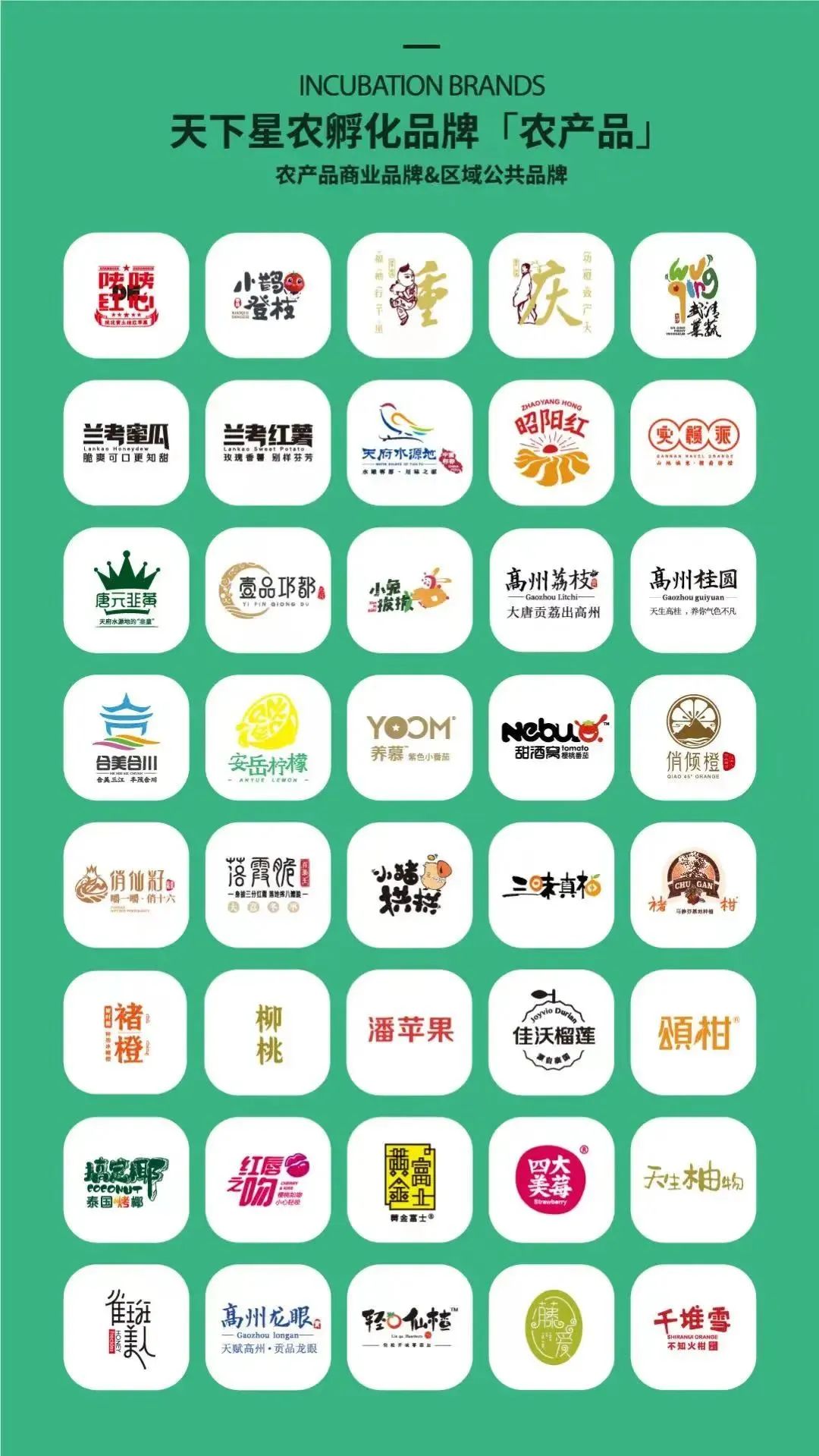 富硒水果包装设计创意点