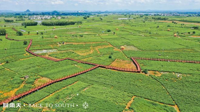 含富硒土地种什么水果树