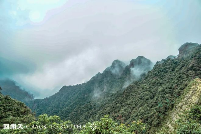 含富硒土地种什么水果树