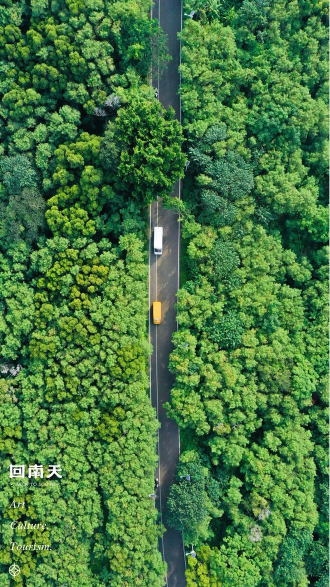 含富硒土地种什么水果树