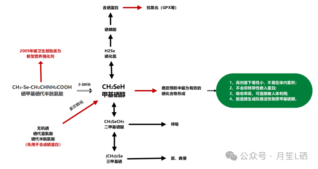 人体怎么补充活性硒产品