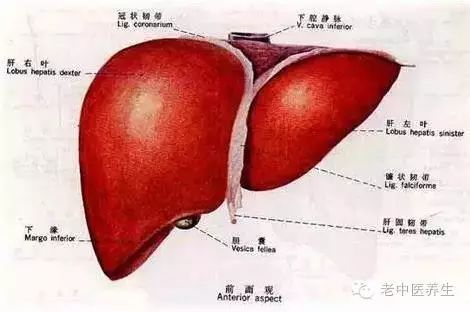 如何选择好的酵母硒产品