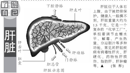 如何选择好的酵母硒产品