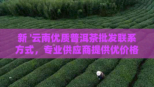 凤冈锌硒茶有什么产品好