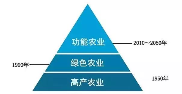 硒功能性产品有哪些品牌