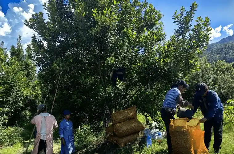 中国富硒农产品权威机构