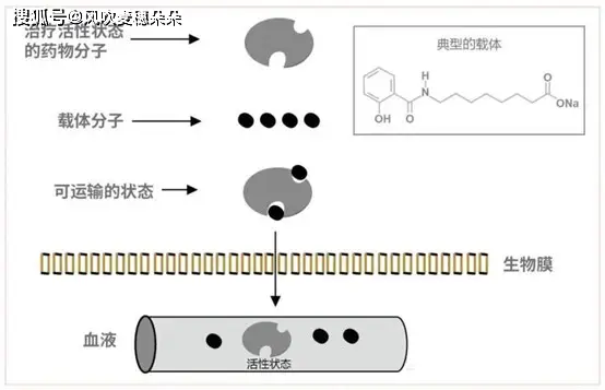 司美格鲁肽效果怎么样